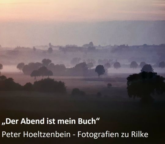 Der Abend ist mein Buch - Peter Hoeltzenbein