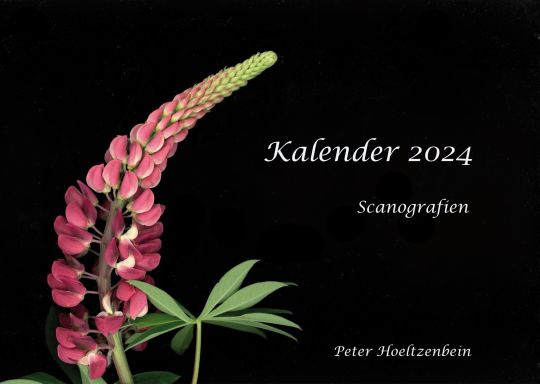 Kalernder 2024